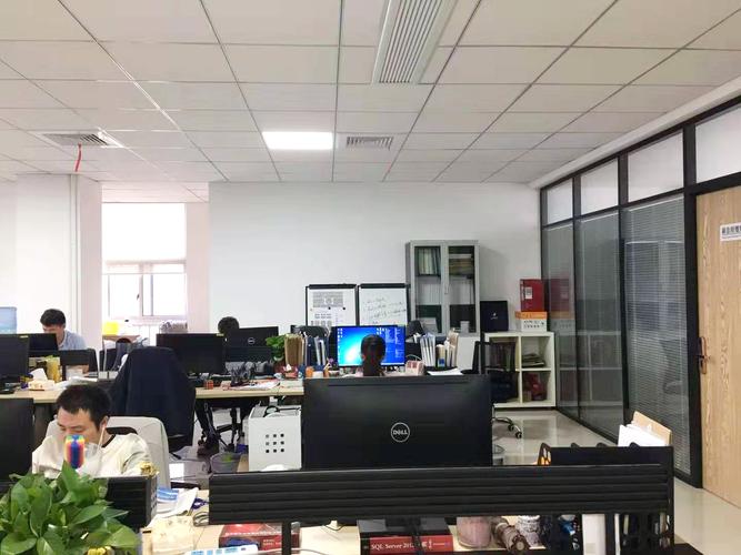 核心业务解读 计算机及信息系统设计与集成服务
